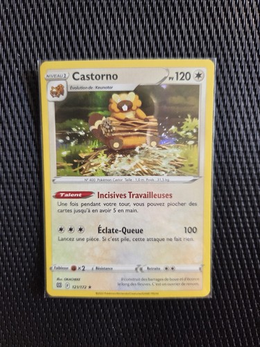 Cartes pokémon castorno - cartes,