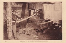 *53342 cpa 68 Riquewihr - Vendanges - vieux pressoir alsacien