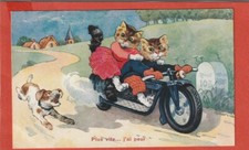 CPA -  CHATS  HUMANISES -   PLUS VITE  ...  J 'AI  PEUR   - CHIEN  -  MOTO