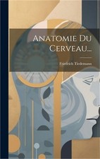Anatomie cerveau - anatomie,