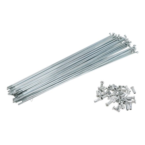 Set 12g rayons vélo - set,