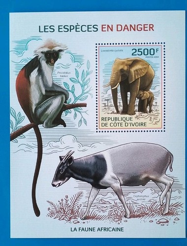 Côte ivoire 2500f espère - côte,