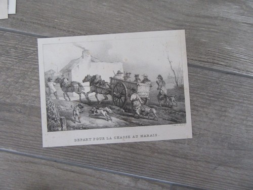 Engraving century marsh - engraving,