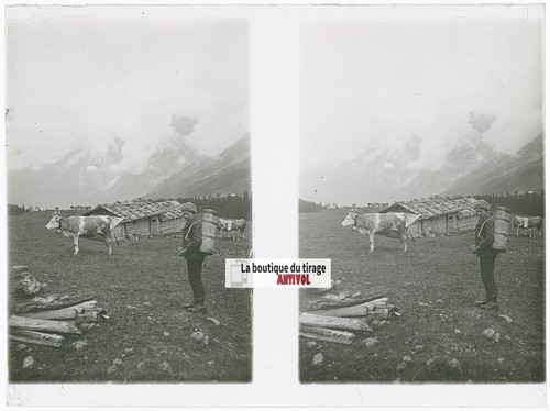 Vaches paysan alpes - vaches,