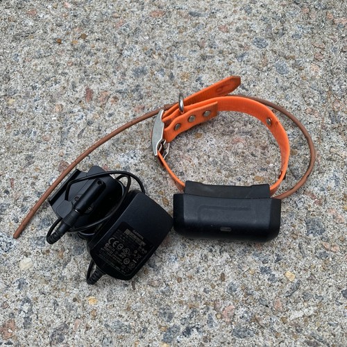 Garmin dc40 gps dog - garmin,