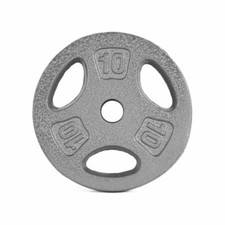 10 LB Standard Weight Plate 2