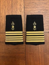 Fourreaux d'épaule colonel du Corps Technique et Administratif