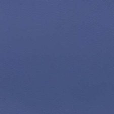 Morceau de cuir d'ameublement