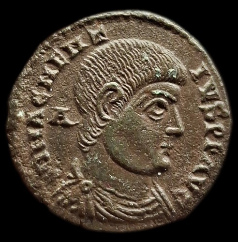 Magnence maiorina amb - maiorina,