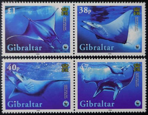 Gibraltar poissons raie - gibraltar,