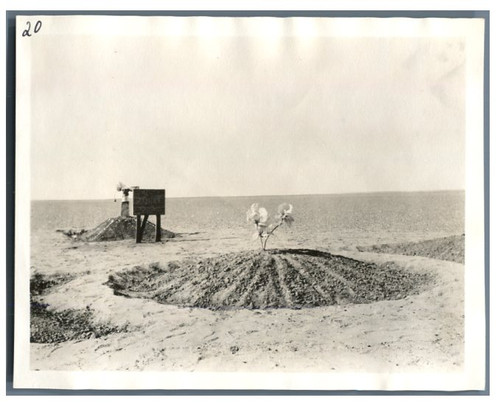 Algérie car la cie - algérie,,
