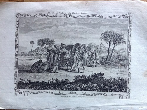Prêtre bénit chevaux - prêtre,