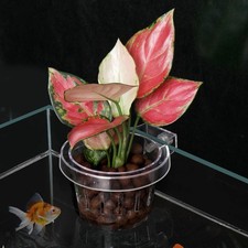 Support mural pour d'aquarium