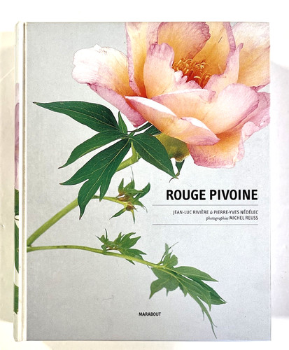 Rouge pivoine rivière - rouge,