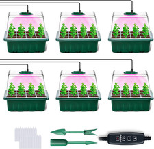 Mini Serre Plantes Lampe 6