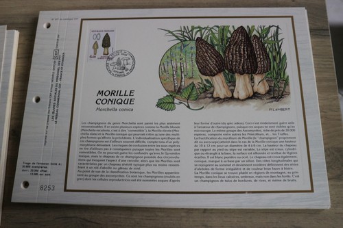 Feuillet cef 1987 - feuillet,