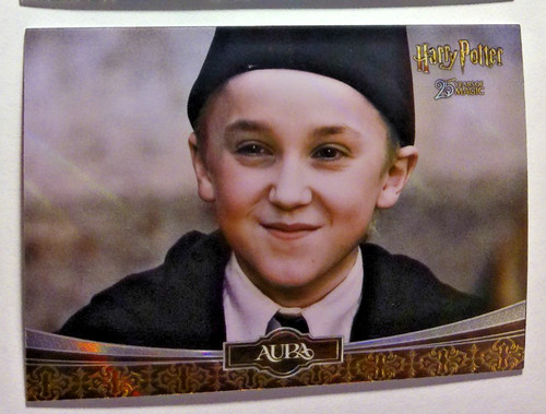 Harry potter kakawow years - potter, 25