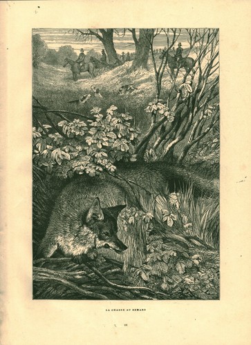 Gravure ancienne chasse - la, au