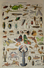 lot 2 livre larousse universel