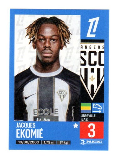 Sticker panini foot 2024 - panini,