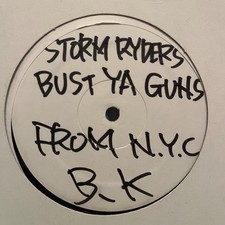 Storm Ryders Vinyl Record BUST