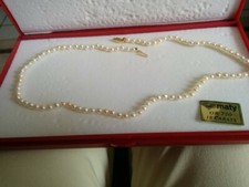 réel blanc perle de culture