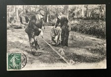 CHASSE AUX PALOMBES UN COUP DE