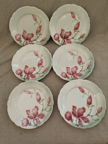 Assiettes dessert - 6,