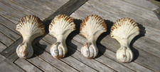 Anciens Pieds de baignoire en Fonte Coquilles & Griffes d' Aigle
