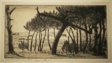Frelaut jean le pin - -,