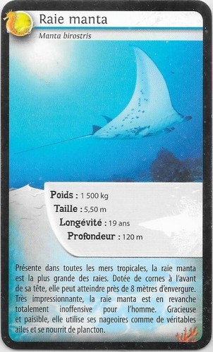 Carte bioviva raie manta - bioviva!,