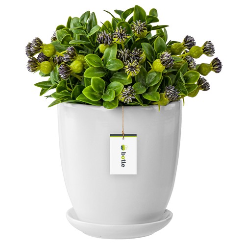 Pot fleur blanc avec - pot,