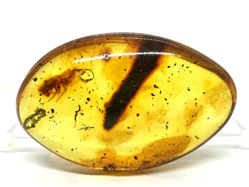 Piece ambre avec insecte - ambre,