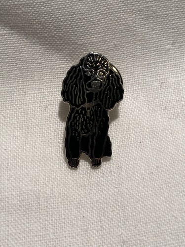 Pin chien caniche noir - pin's,