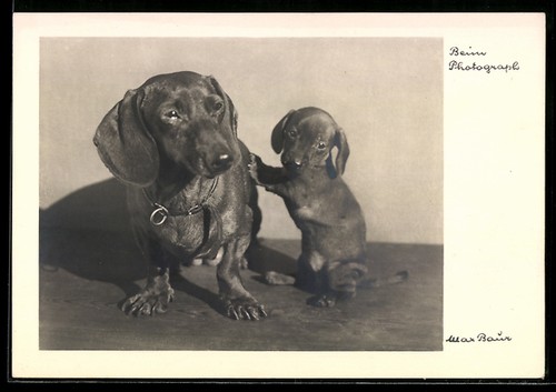 Carte postale photo max - postale,