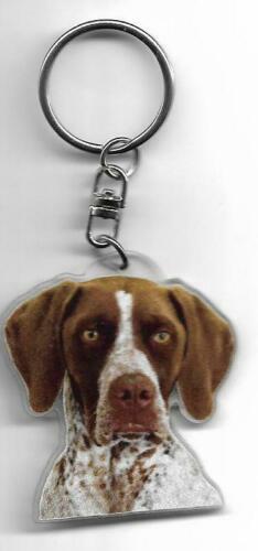 Braque francais chien porte - braque,