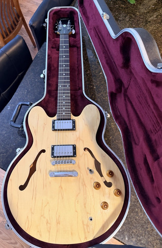 2003 epiphone gibson dot - 2003,