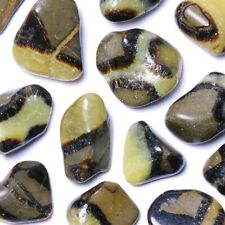 ★☆ SEPTARIA de Madagascar - Pierres roulées vendues à l'unité - 2,5 à 3,5 cm ☆★