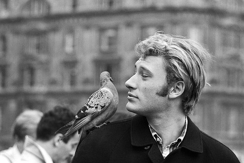 Photo johnny hallyday rock - photo,