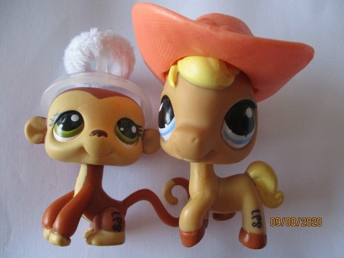 Petshop duo singe 1080 - n°1080, +