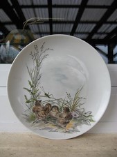 ASSIETTE MURALE PORCELAINE KAISER décor Oiseaux 19,5 cm