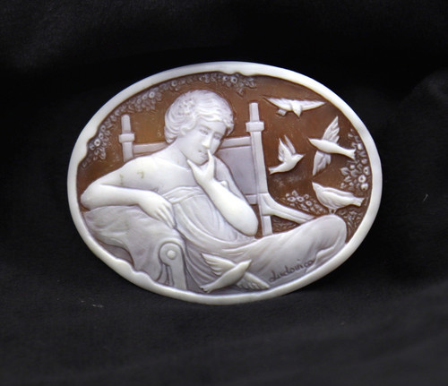 Beau naturel cameo - beau, forme