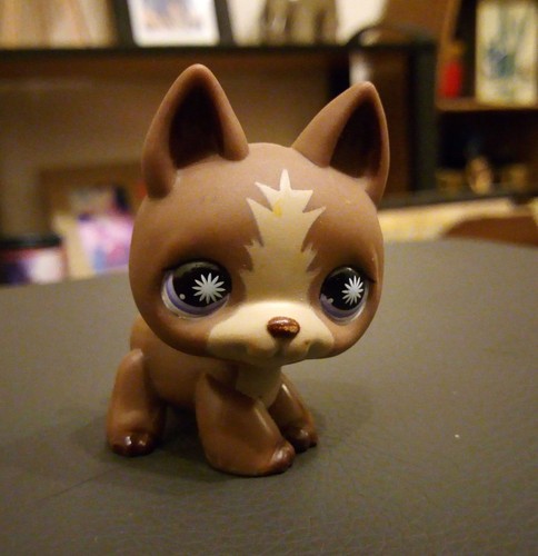 Petshop bébé chien - petshop,