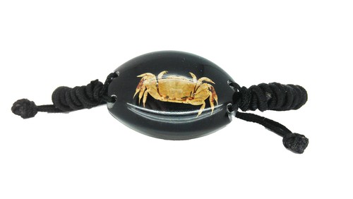 Véritable vie marine crabe - vie,