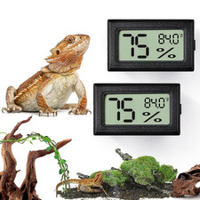 Bearded Dragon Tank