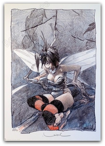 Affiche régis loisel fée - régis,