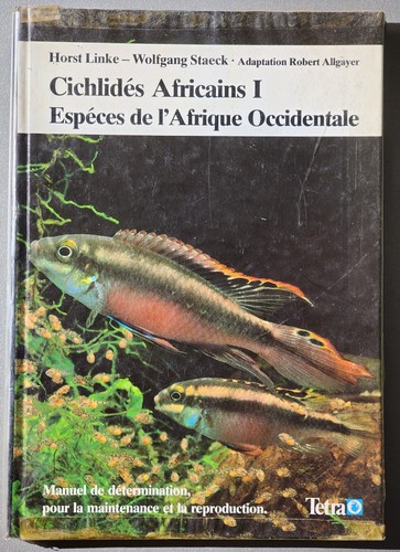 Cichlides africains - cichlides, -i-