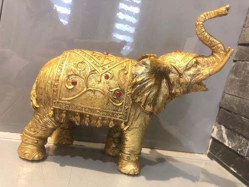 Eléphant collection - , en