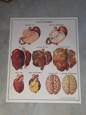 AFFICHE SCOLAIRE ROSSIGNOL N°