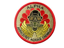 ECUSSON DRAGONS PARACHUTISTES 13° RDP GROUPE ALPHA CHUTEUR OPS SOTGH 